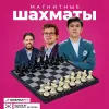 Шахматы магнитные, большие, классические